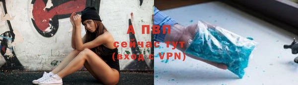 ПСИЛОЦИБИНОВЫЕ ГРИБЫ Белокуриха